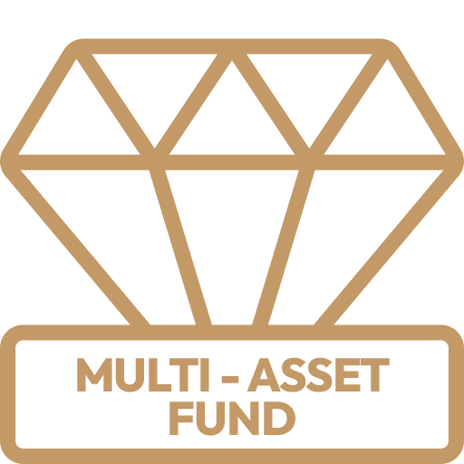 Multi-Asset Fund icon